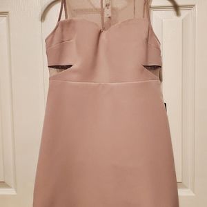 NWT Express Mini Dress - Dusty Pink